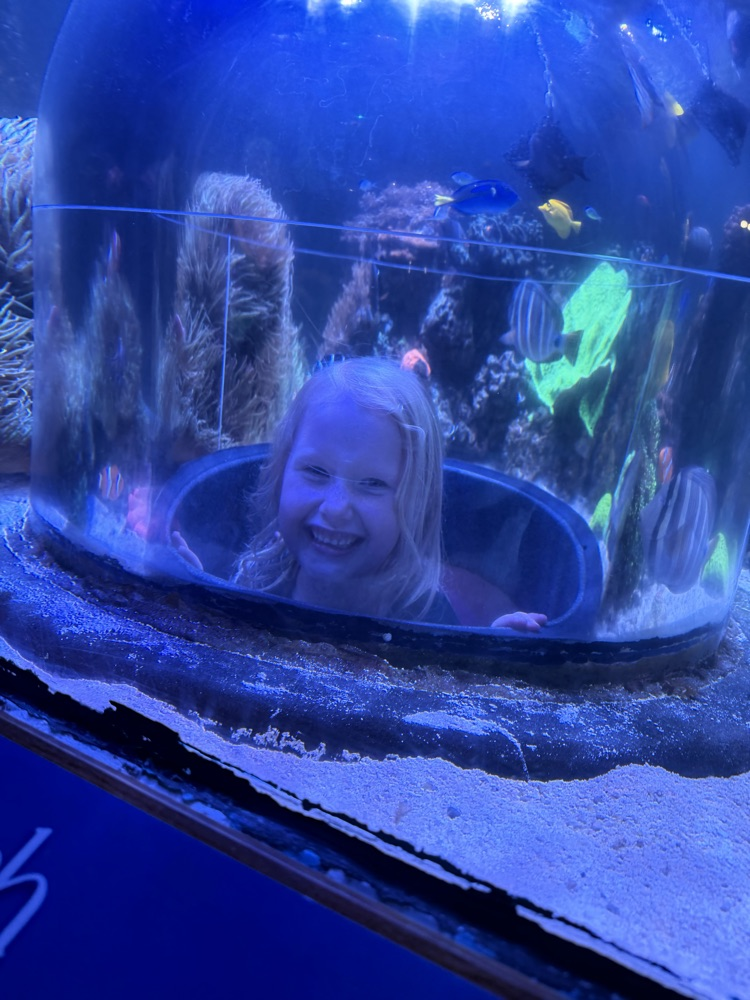 student peeking through the clear dome 