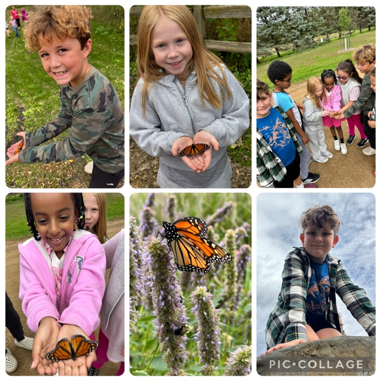 Mary Jo arboretum 