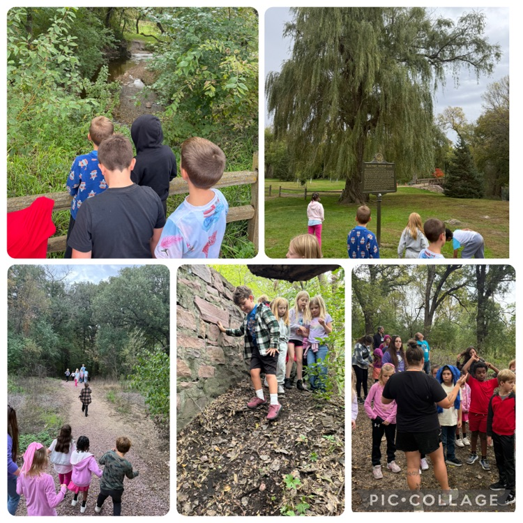 Mary Jo arboretum 
