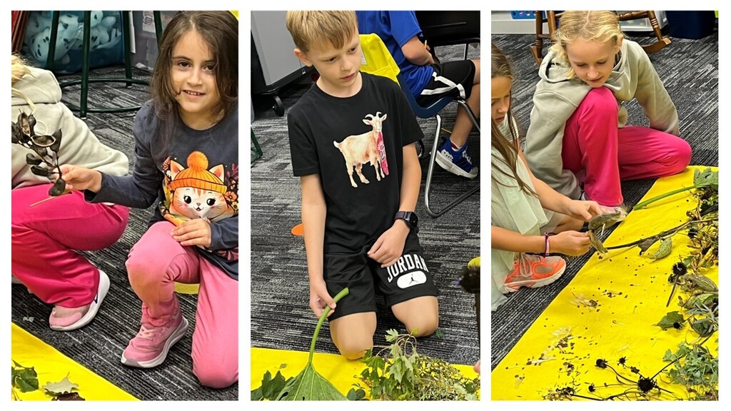 Students looking at plant roots, stems, and leaves. 