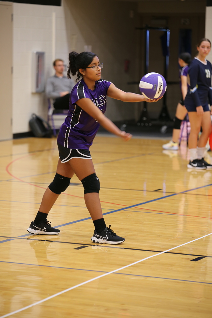 Volleyball game. 