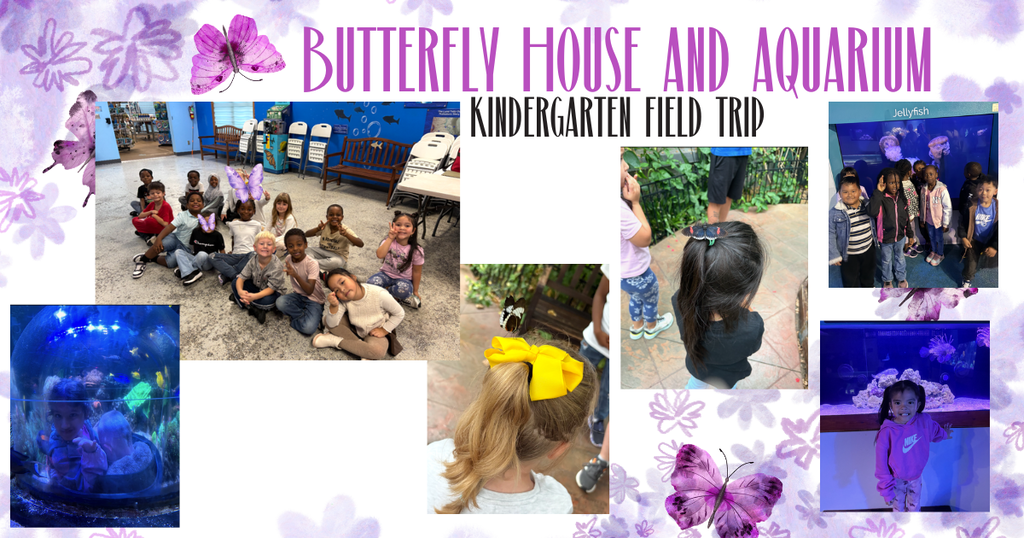 butterfly house