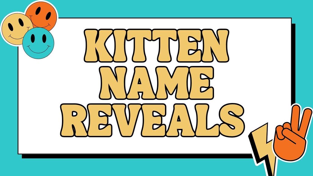 Kittens Names