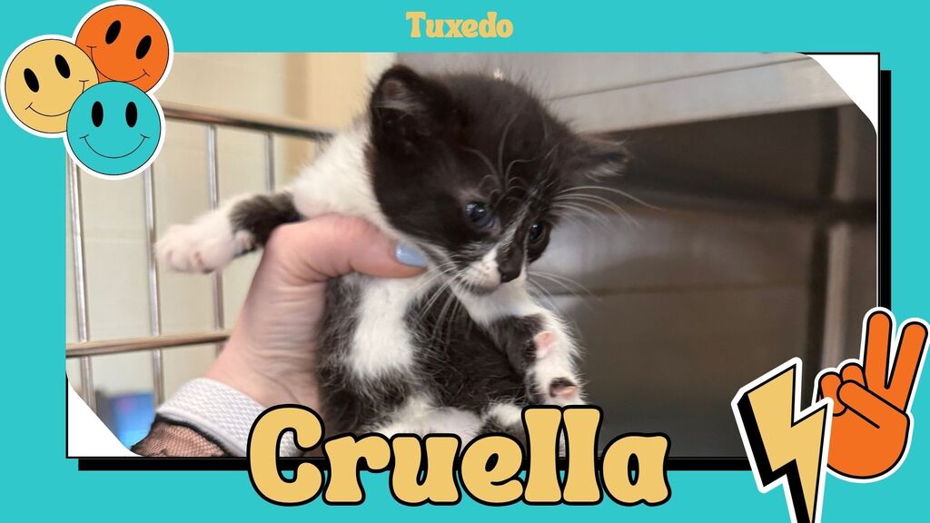Cruella