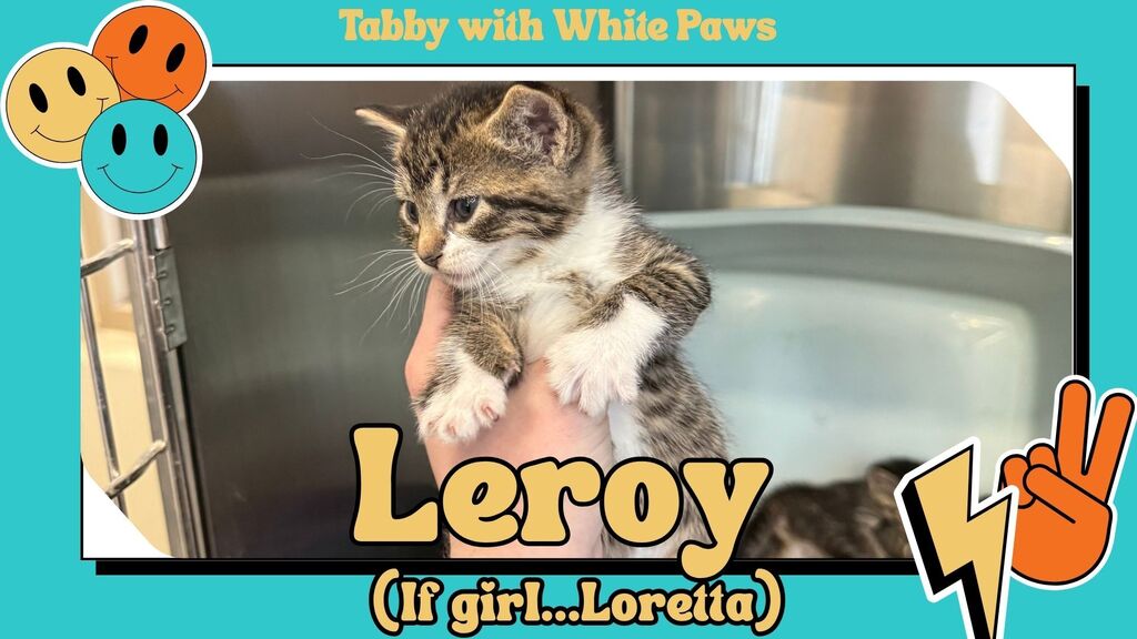 Leroy