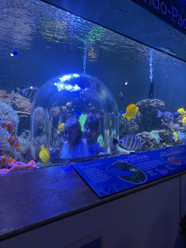 students in an aquarium