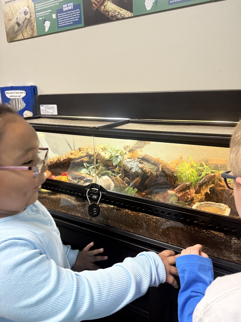 girl next to an aquarium