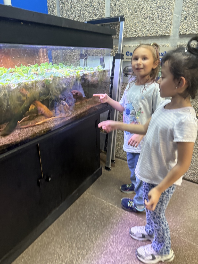 girls next to an aquarium