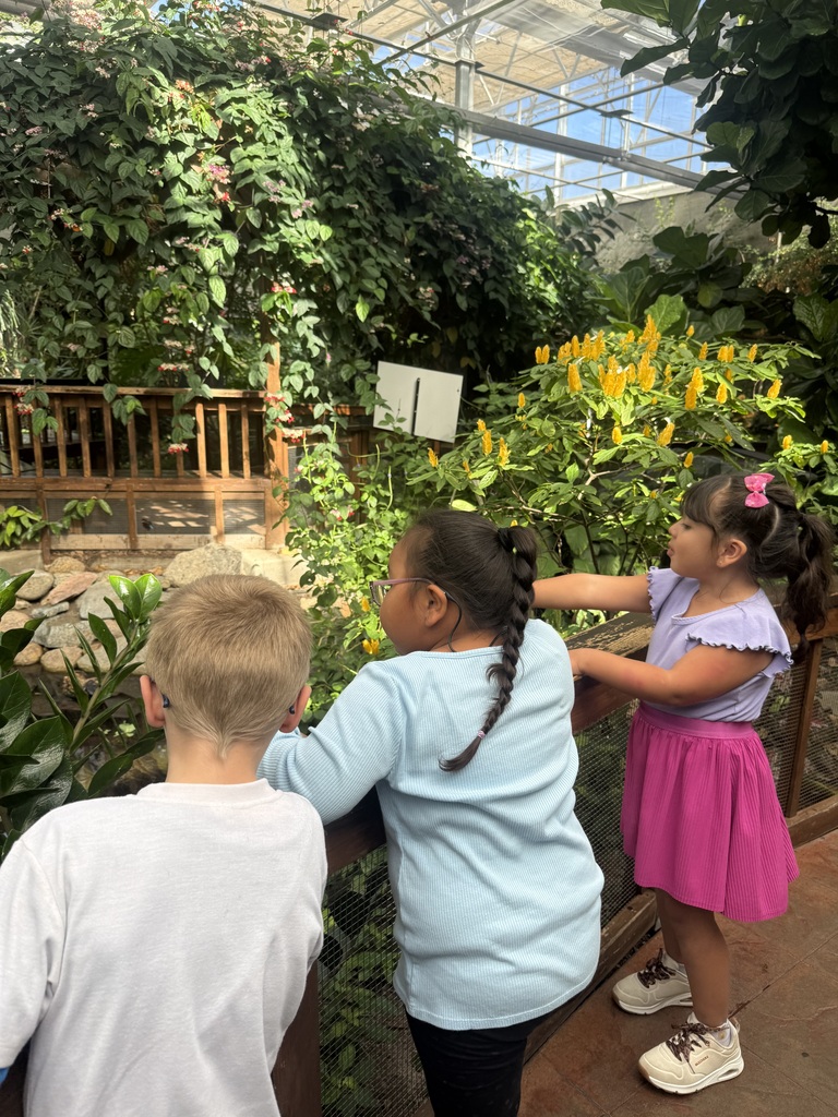 students looking at plants