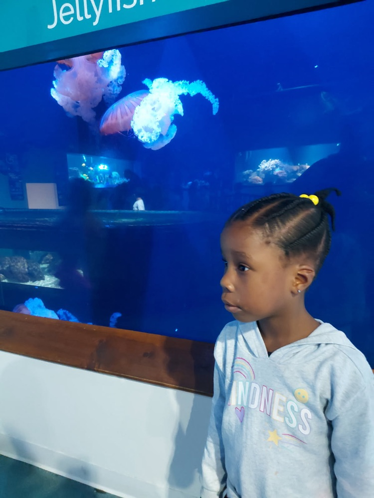 student at aqaurium