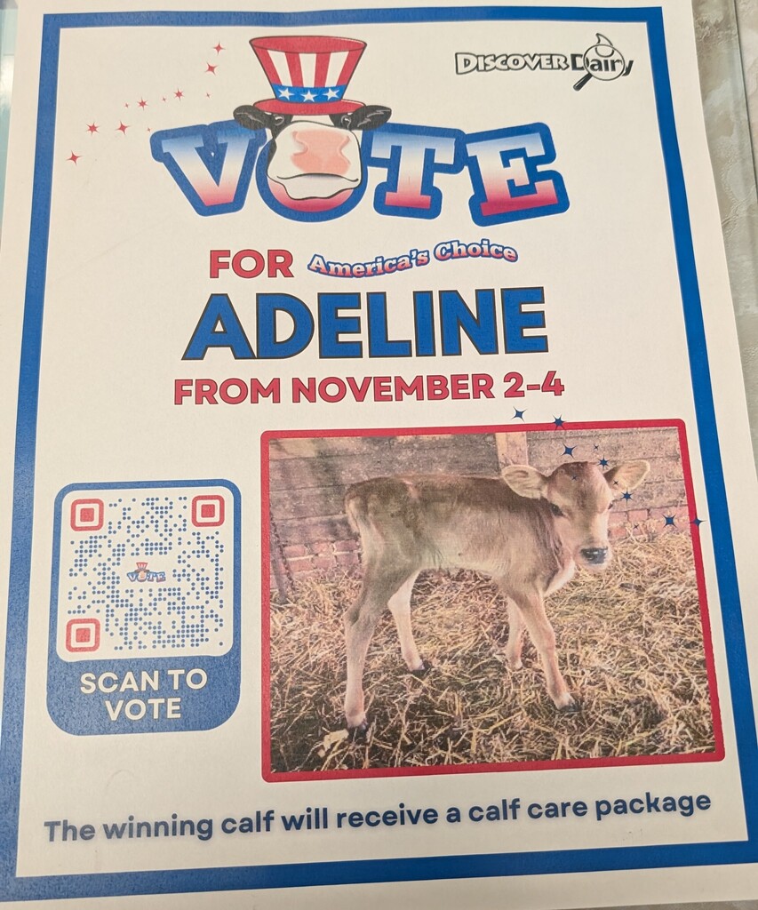 Vote for Adeline - 401's class cow