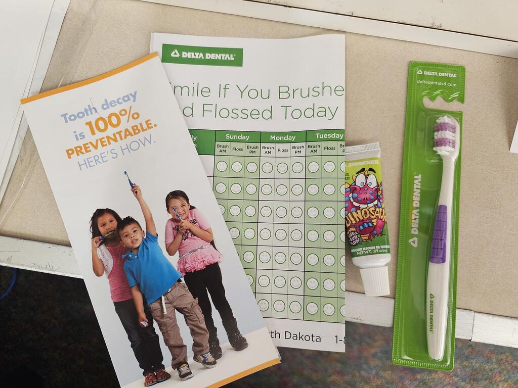 broucher, brushing chart, toothbrush and toothpaste.