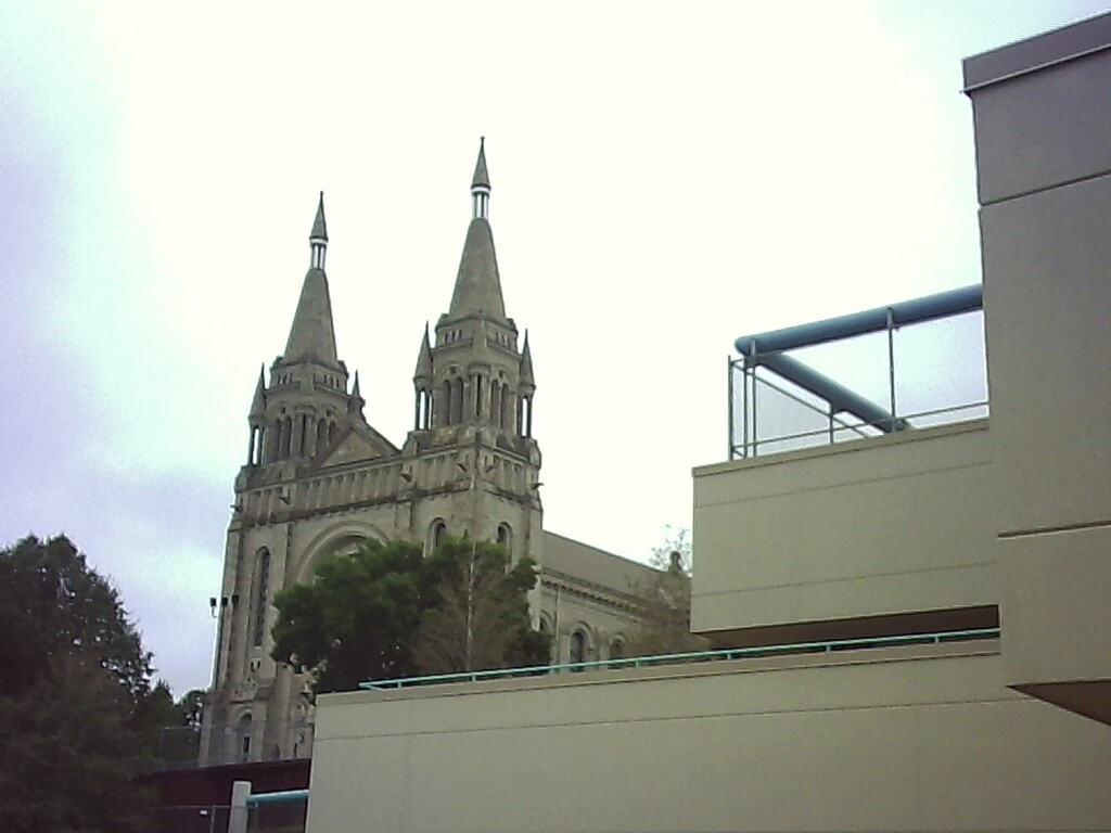 view