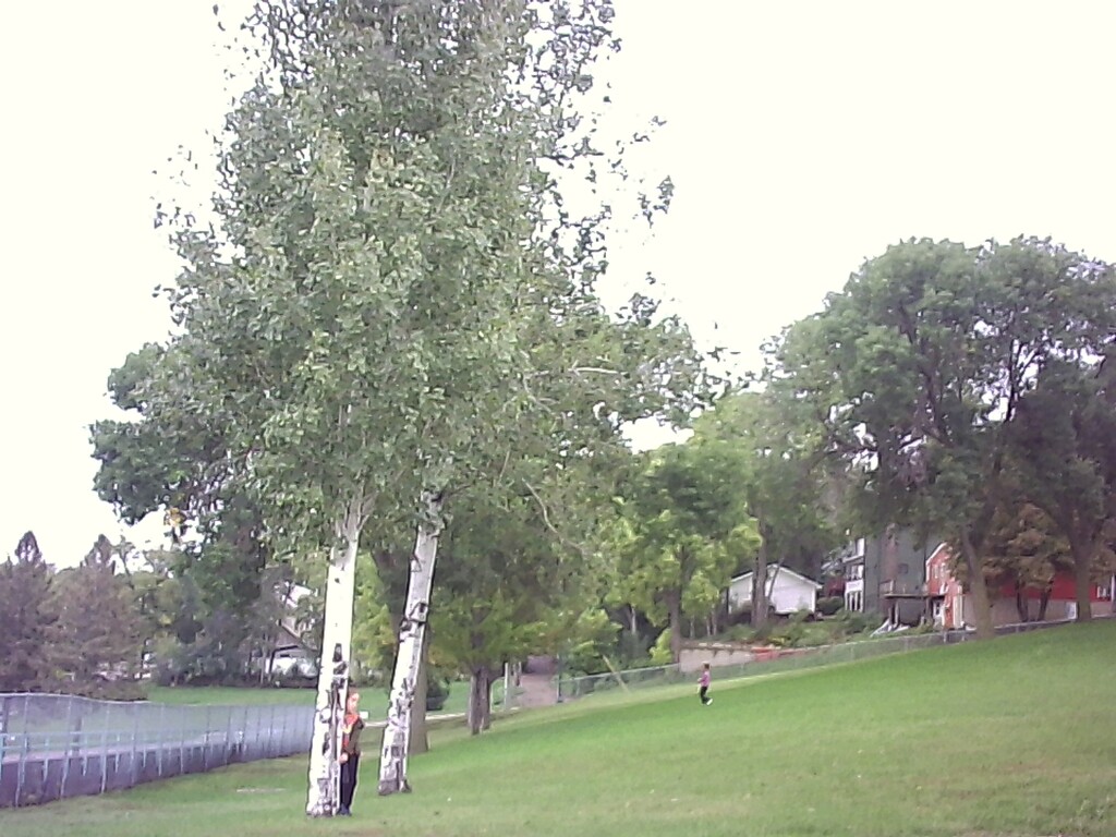 view