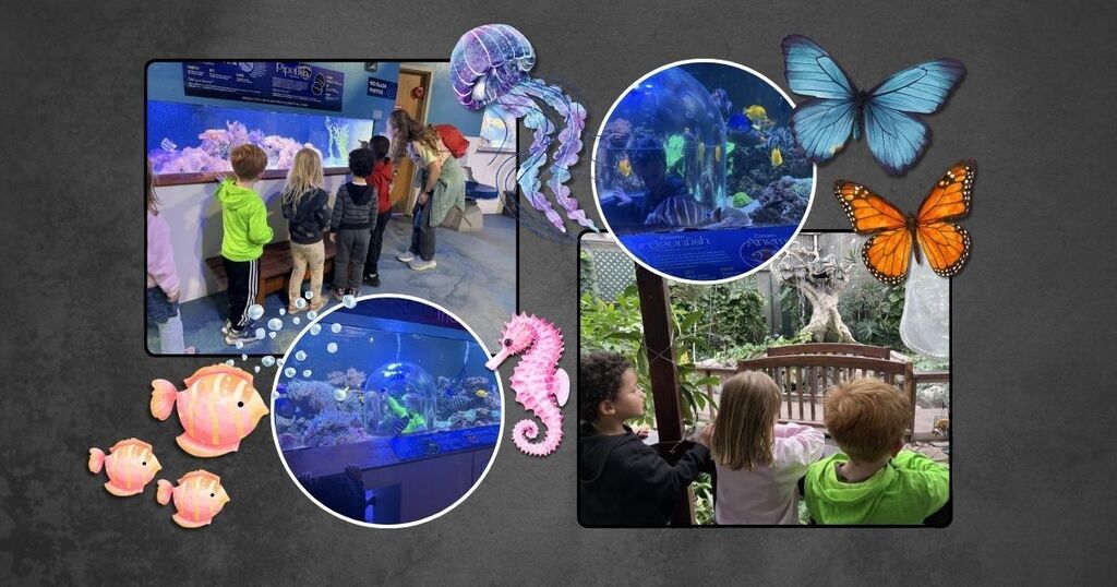 Students observe plants and watch for butterflies in the butterfly house enclosure.