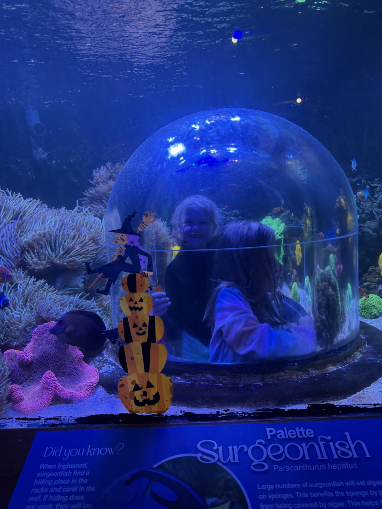 2 students in an aquarium