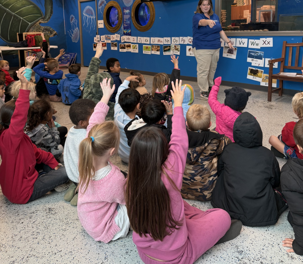 An adult teaching and students sitting with their hands up