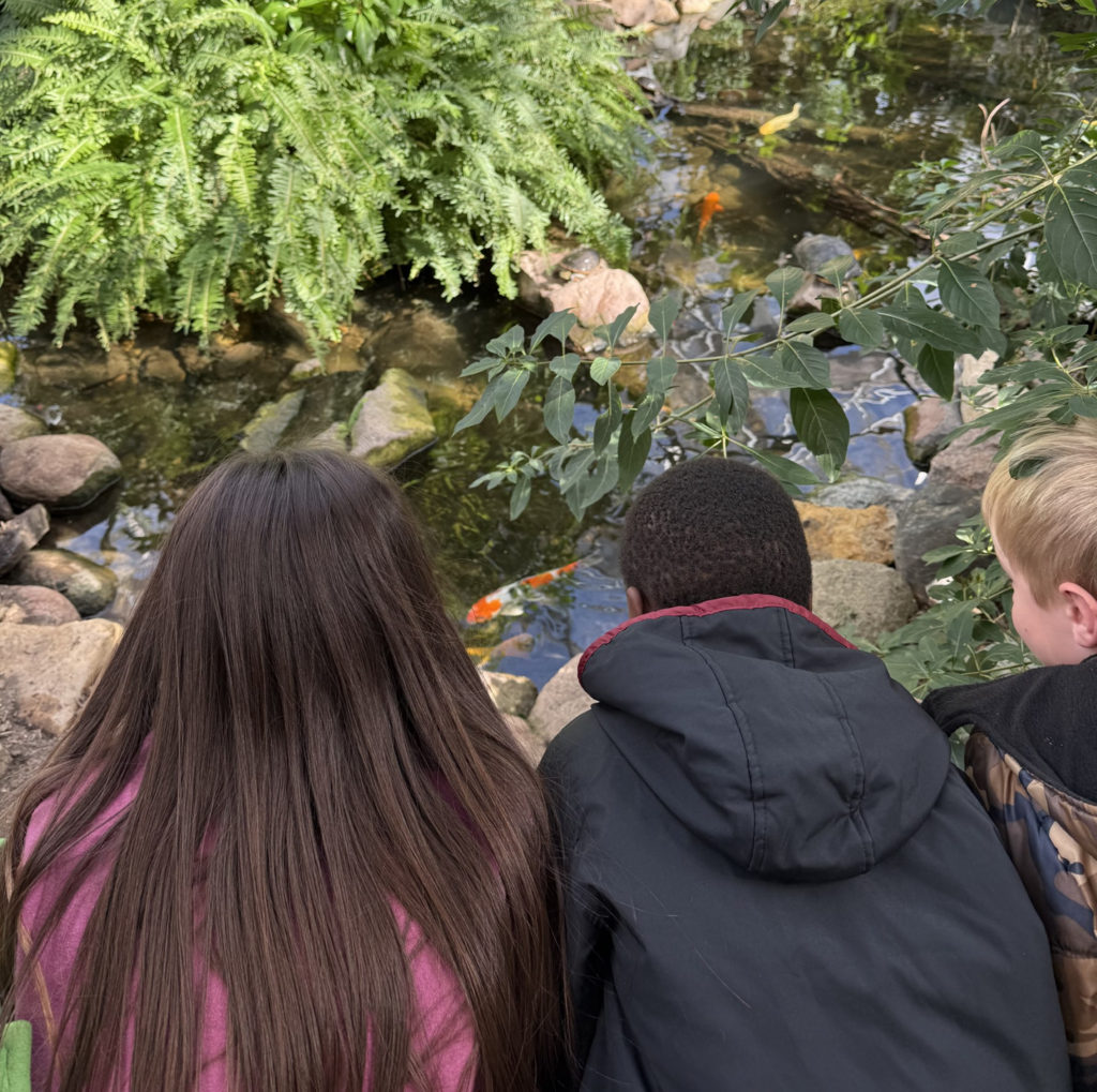 3 students looking at fish in a pond