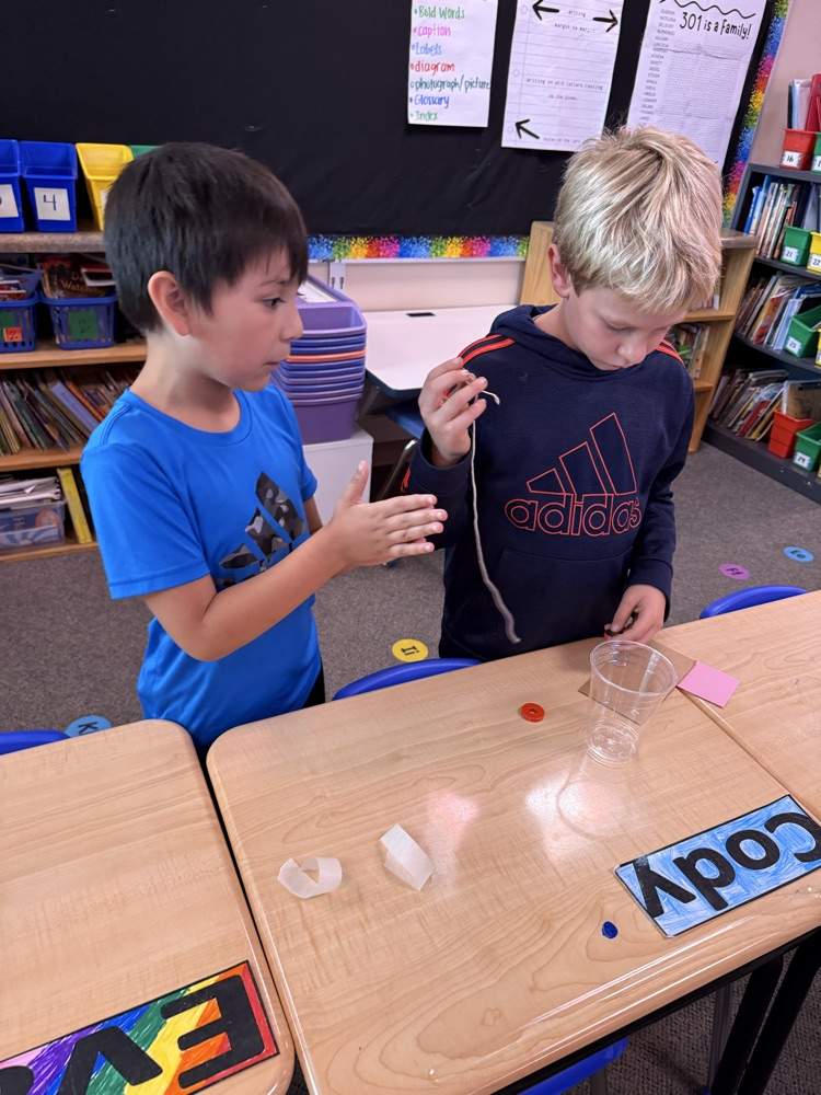 students cooperating in science