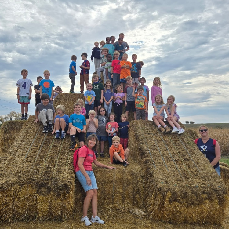 our farm field trip