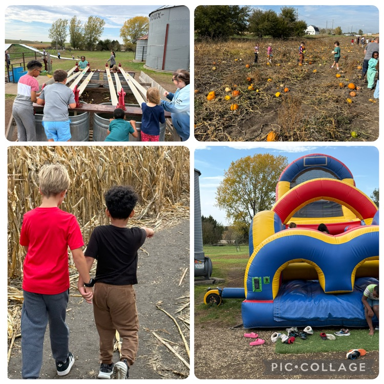 our farm field trip