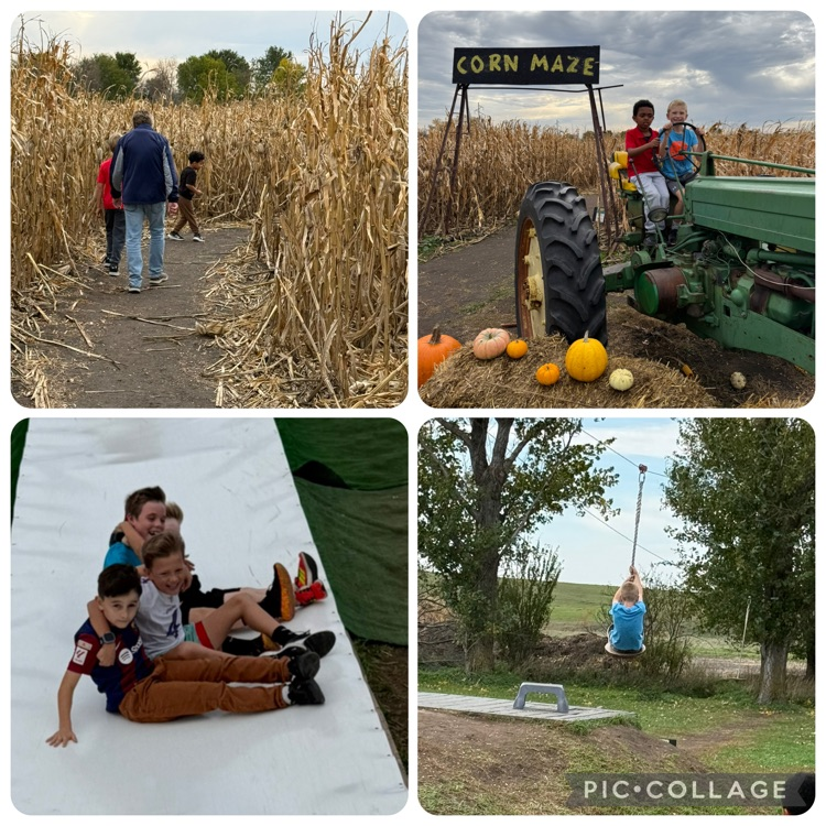 our farm field trip