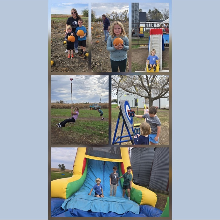 our farm field trip
