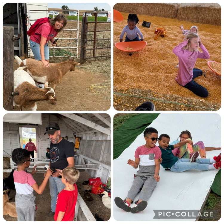 our farm field trip