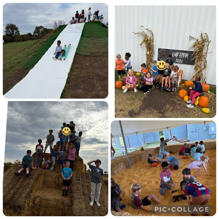 our farm field trip