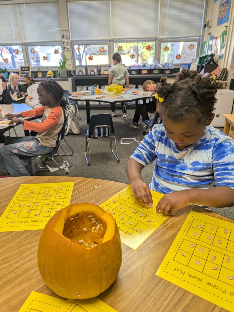 students doing pumpkin math