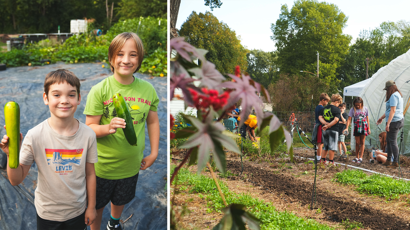 Photo of 2 kids holding vegetable next to another photo of kids learning about gardening