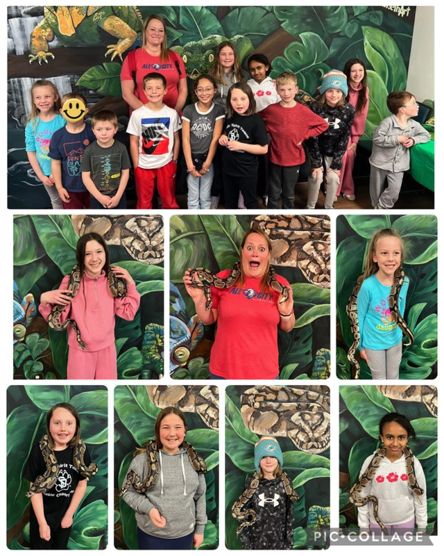 reptile adventure zoo