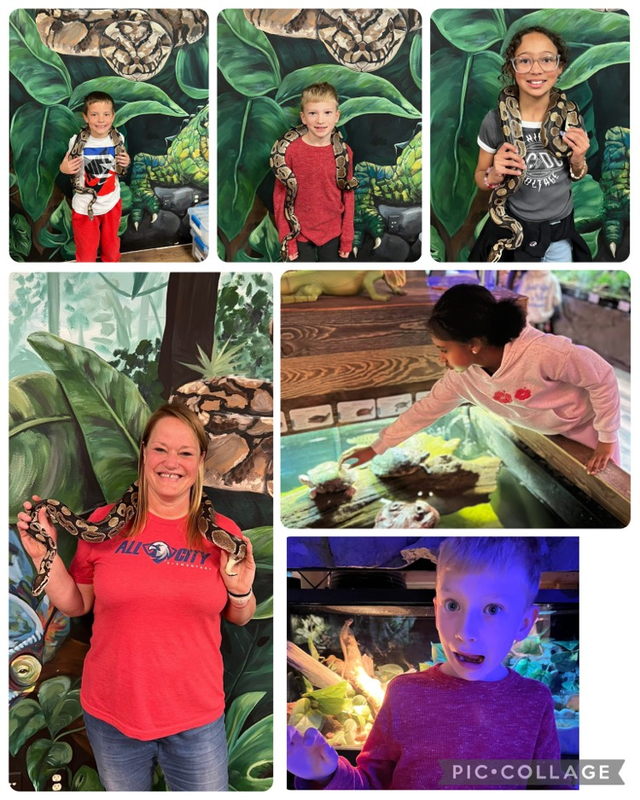 reptile adventure zoo 
