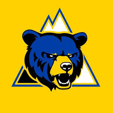 mount shasta bears logo