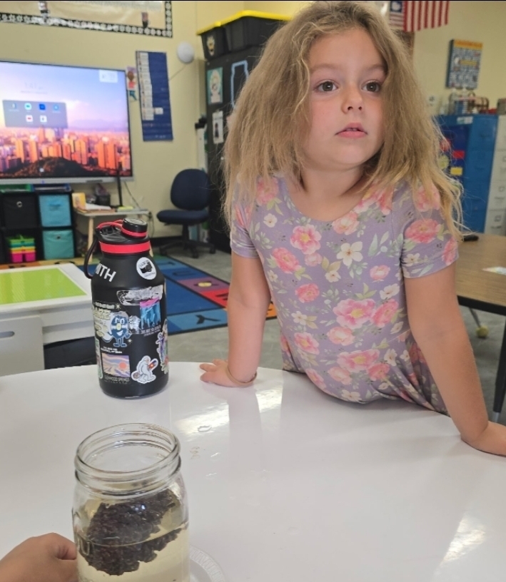 SIVELLS BEND ISD -
Prek and Kindergarten is learning about pinecones. Our first experiment was to place them in water.
