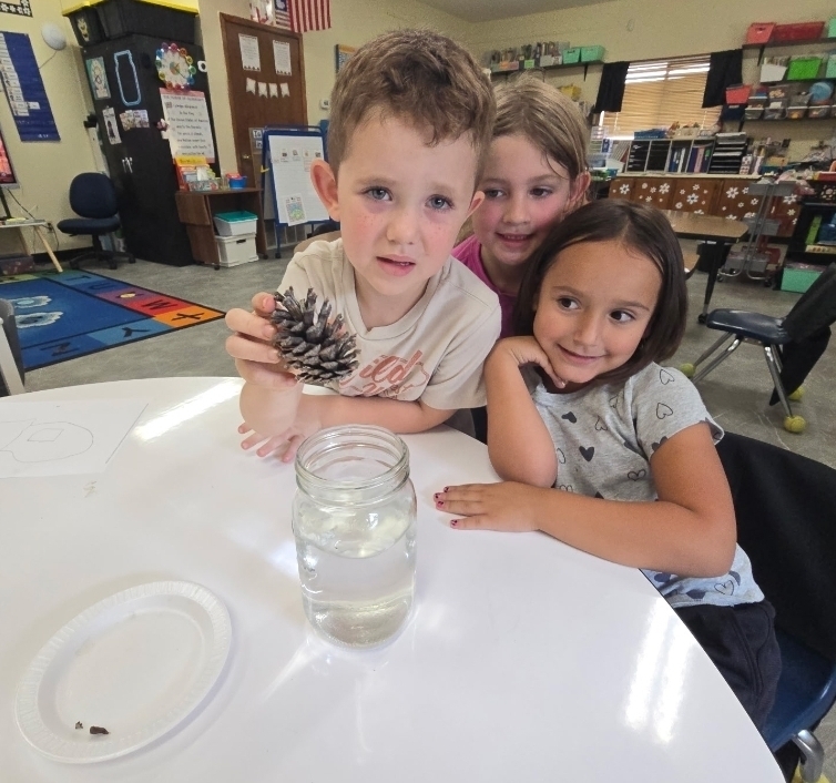 SIVELLS BEND ISD -
Prek and Kindergarten is learning about pinecones. Our first experiment was to place them in water.
