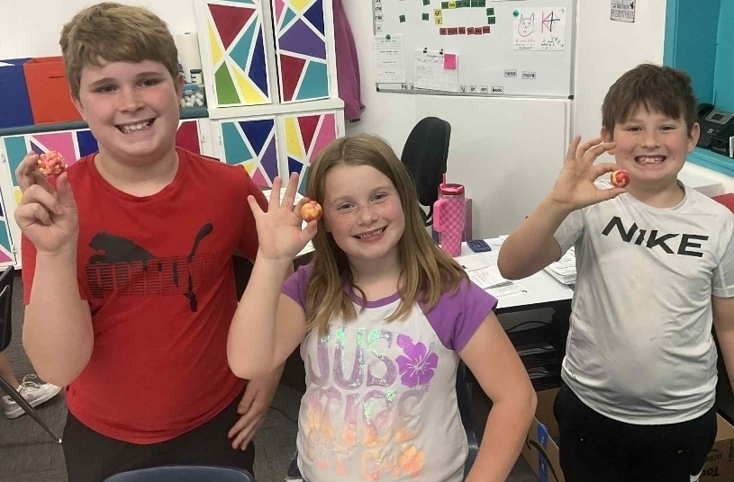 SIVELLS BEND ISD
3rd and 4th graders made sediment out of Starburst candies.  Then they turned their sediment into sedimentary rock.  They warmed their sedimentary rocks and applied pressure to make metamorphic rocks.  Last of all, we melted some rock and made igneous rocks!  We had a blast!