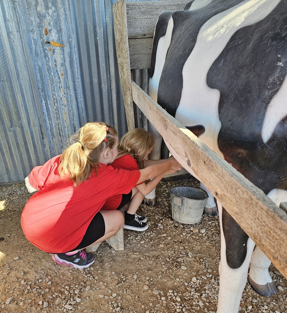 SIVELLS BEND ISD -
☆ STAAR Celebration ☆
CIRCLE N DAIRY
Have you milked a cow?