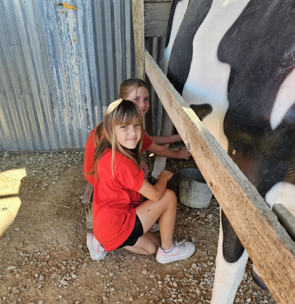 SIVELLS BEND ISD -
☆ STAAR Celebration ☆
CIRCLE N DAIRY
Have you milked a cow?