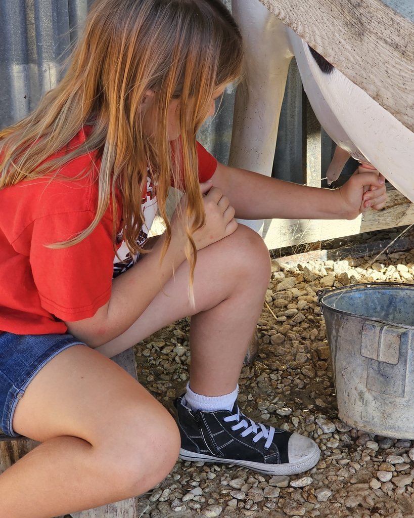 SIVELLS BEND ISD -
☆ STAAR Celebration ☆
CIRCLE N DAIRY
Have you milked a cow?