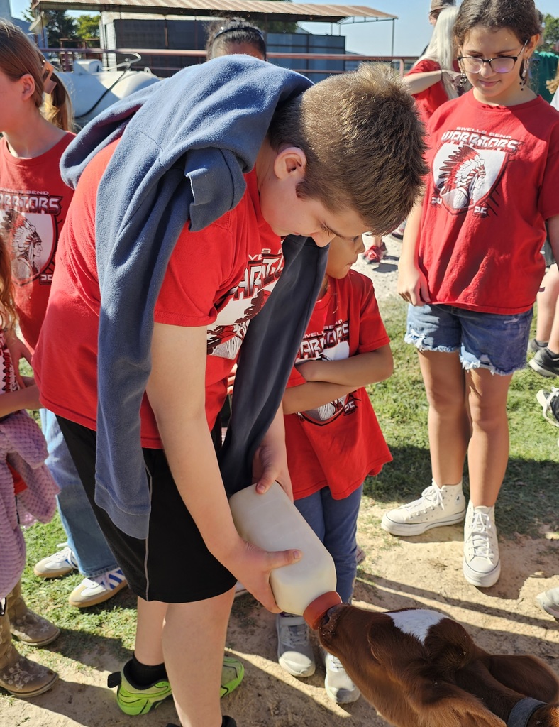SIVELLS BEND ISD -
☆ STAAR Celebration ☆
CIRCLE N DAIRY
Feeding the babies.