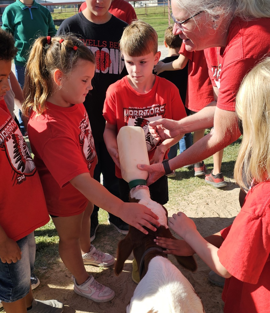 SIVELLS BEND ISD -
☆ STAAR Celebration ☆
CIRCLE N DAIRY
Feeding the babies.