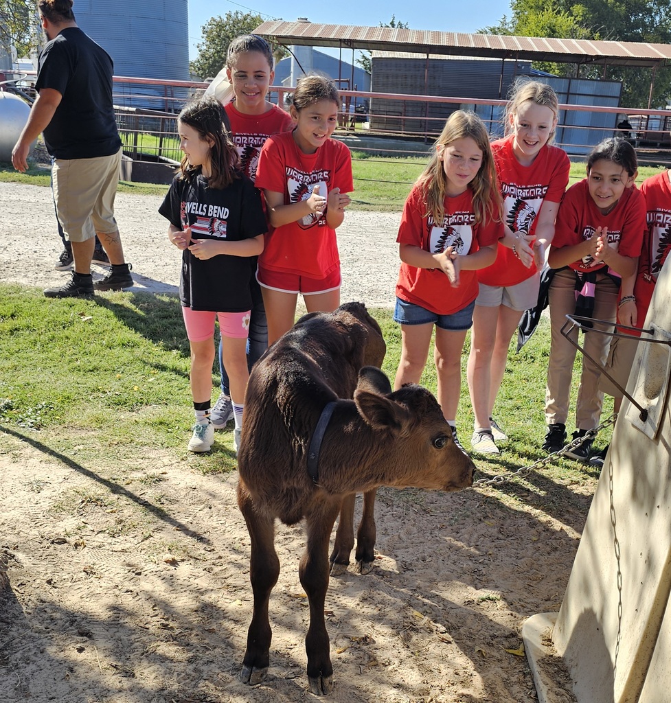 SIVELLS BEND ISD -
☆ STAAR Celebration ☆
CIRCLE N DAIRY
Feeding the babies.