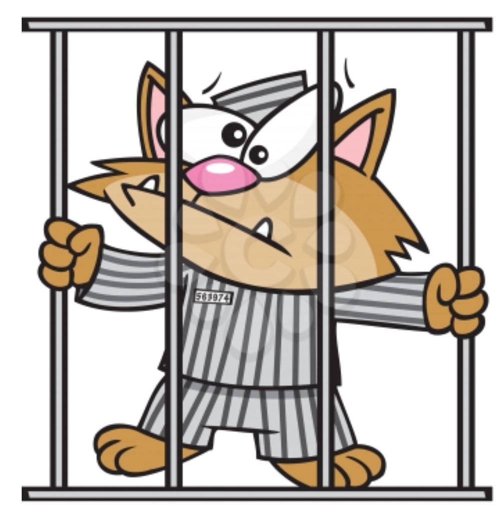 SIVELLS BEND ISD
FALL FESTIVAL
*** J A I L ***
3PM - 5PM
SATURDAY, NOVEMBER 1
Put your friends, family, teachers and even Mr. Daugherty in JAIL!!