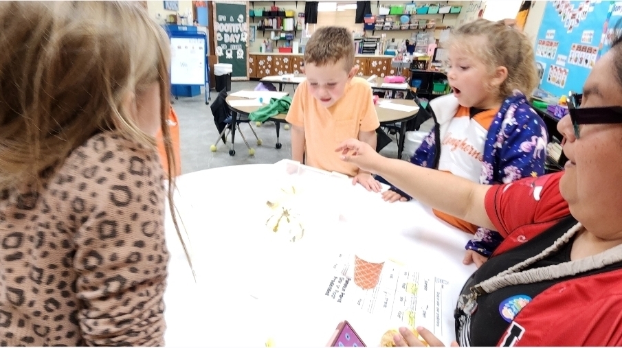 SIVELLS BEND ISD
Pre-K and Kindergarten students conducted a pumpkin experiment. They predicted whether whole pumpkins and pumpkin seeds would sink or float.