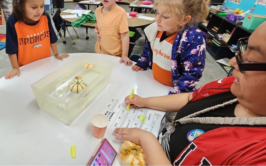 SIVELLS BEND ISD
Pre-K and Kindergarten students conducted a pumpkin experiment. They predicted whether whole pumpkins and pumpkin seeds would sink or float.