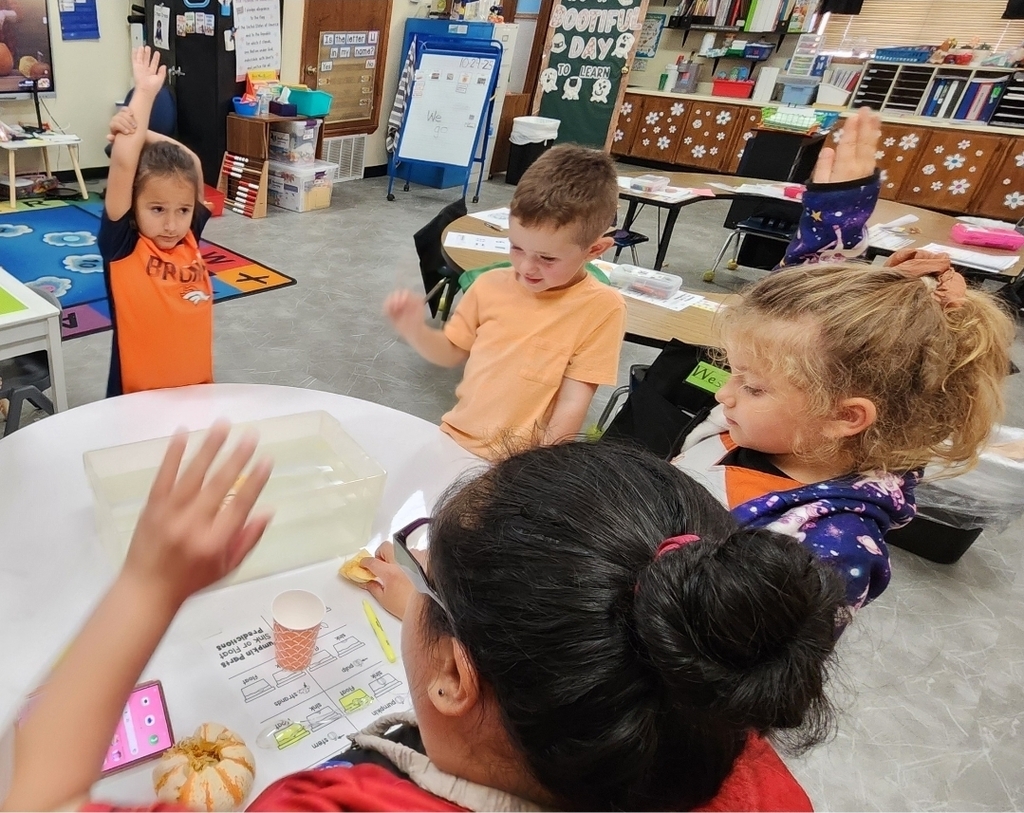 SIVELLS BEND ISD
Pre-K and Kindergarten students conducted a pumpkin experiment. They predicted whether whole pumpkins and pumpkin seeds would sink or float.