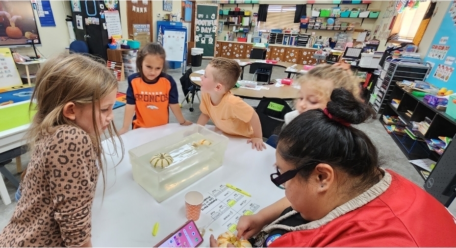 SIVELLS BEND ISD
Pre-K and Kindergarten students conducted a pumpkin experiment. They predicted whether whole pumpkins and pumpkin seeds would sink or float.