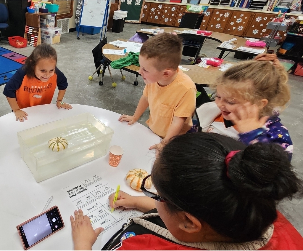 SIVELLS BEND ISD
Pre-K and Kindergarten students conducted a pumpkin experiment. They predicted whether whole pumpkins and pumpkin seeds would sink or float.