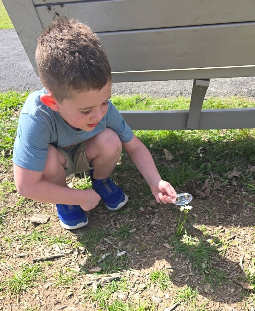 SIVELLS BEND ISD
Our Pre-K and Kindergarten investigators using their tools to hunt for rainbows and see how light moves. Science is even more beautiful up close! 🔍✨